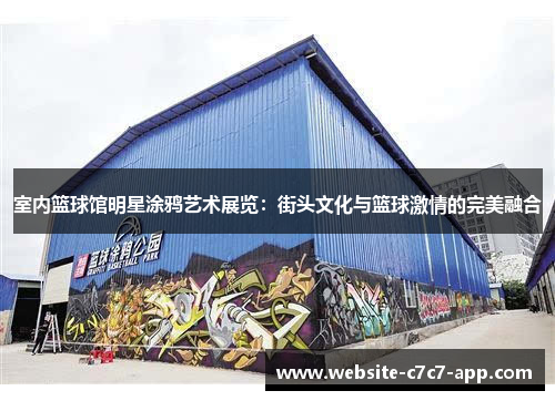 室内篮球馆明星涂鸦艺术展览:街头文化与篮球激情的完美融合