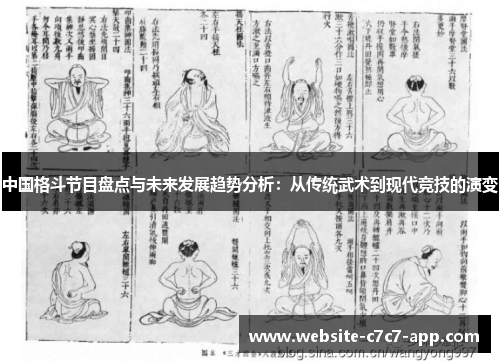 中国格斗节目盘点与未来发展趋势分析:从传统武术到现代竞技的演变