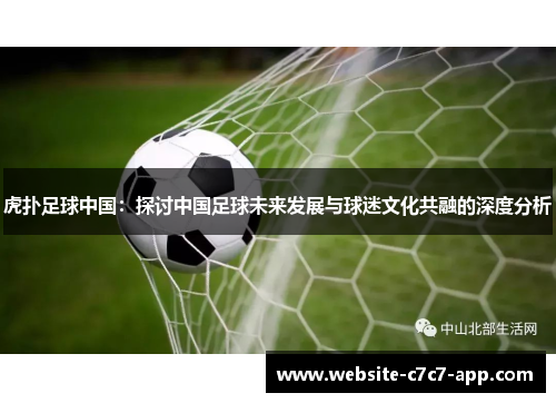 虎扑足球中国:探讨中国足球未来发展与球迷文化共融的深度分析